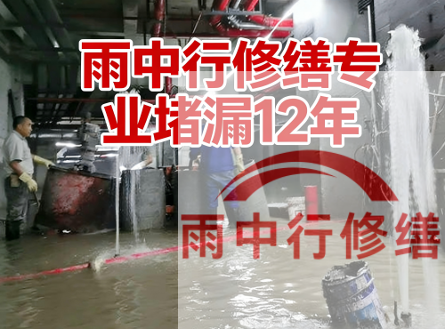 东城中国五矿某大型污水处理厂堵漏案例